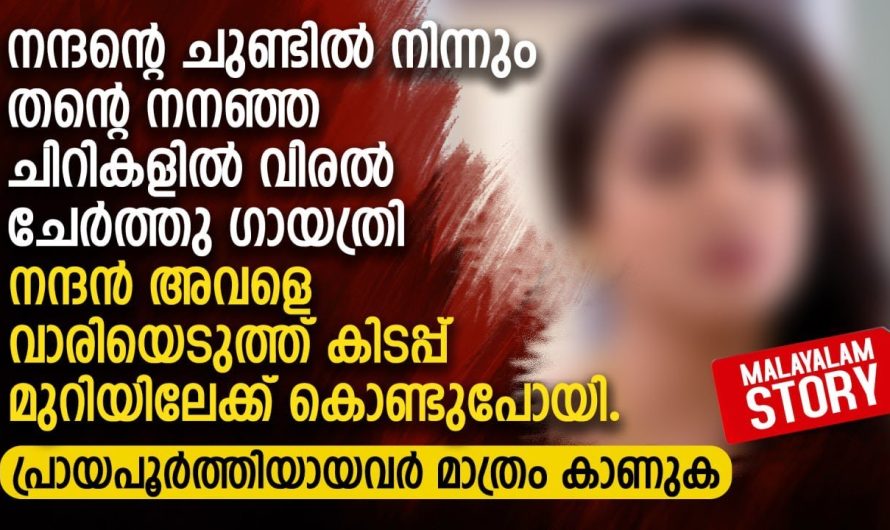 നന്ദന്റെ ചുണ്ടിൽ നിന്നും തന്റെ നനഞ്ഞ ചിറികളിൽ വിരൽ ചേർത്തു ഗായത്രി