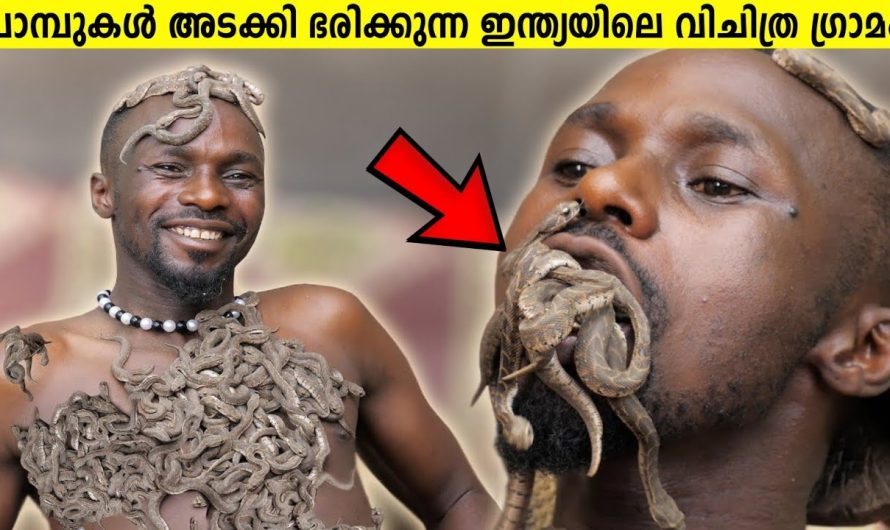 പാമ്പുകളെ ദൈവങ്ങളായി കണ്ട് ആരാധിക്കുന്ന മഹാരാഷ്ട്രയിലെ ഗ്രാമം..