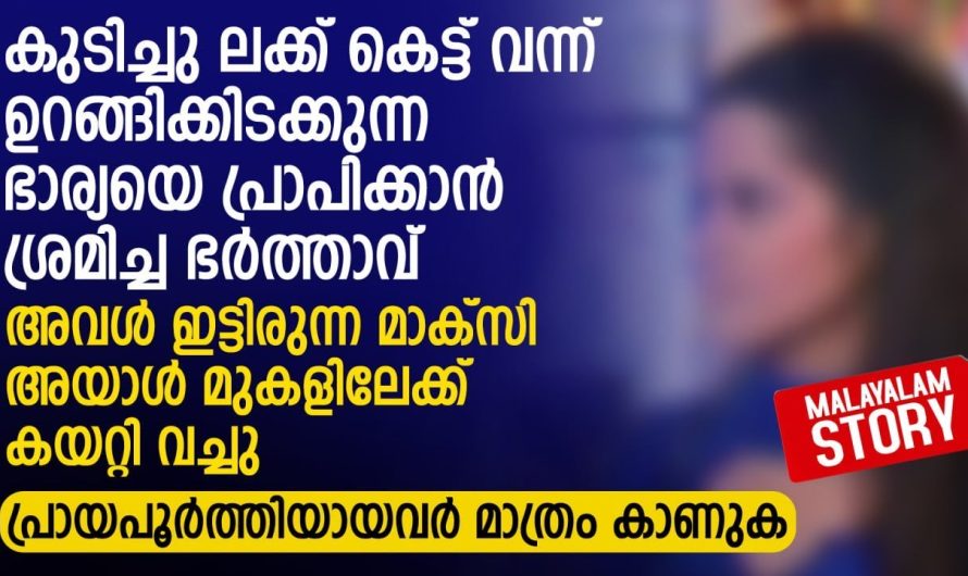 അവൾ ഇട്ടിരുന്ന മാക്സി അയാൾ മുകളിലേക്ക് കയറ്റി വച്ചു