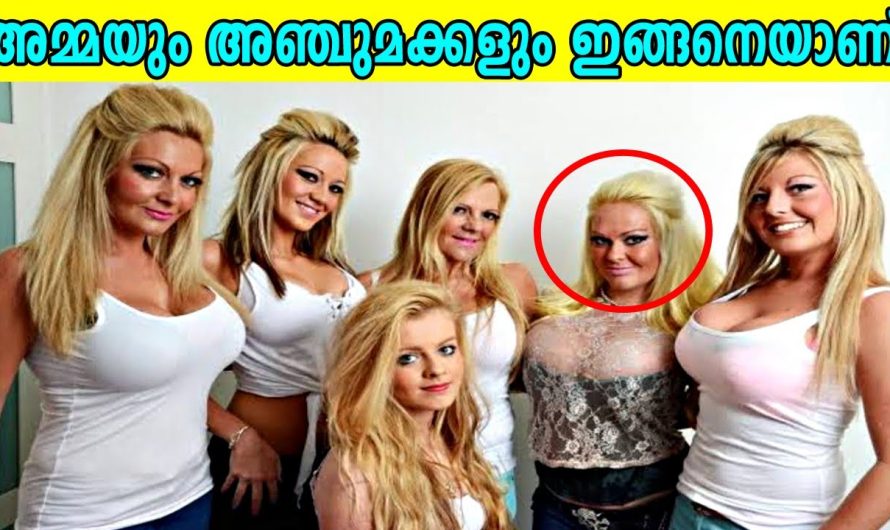 വിചിത്രമായ 10 കുടുംബങ്ങൾ