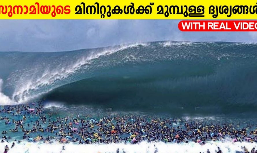 2004 ലെ സുനാമിയുടെ ദൃശ്യാവിഷ്കാരം!😱